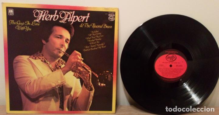 Herb Alpert The Tijuana Brass This Guy S In Buy Vinyl Records Lp Pop Rock International Of The 70s At Todocoleccion