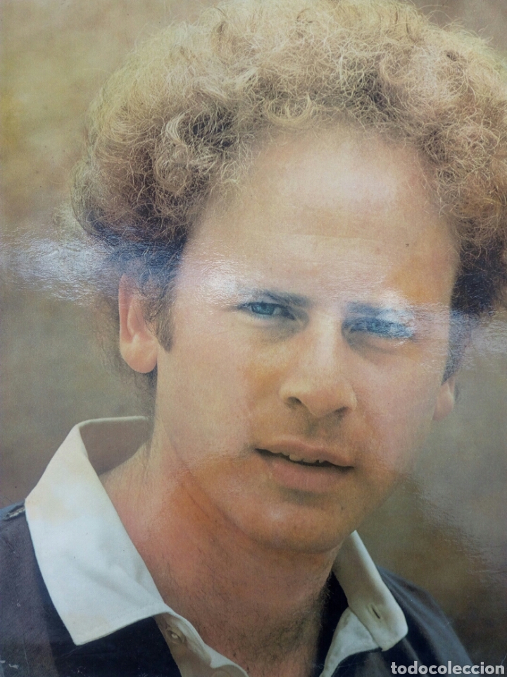 Discos de vinilo: GARFUNKEL - Foto 1