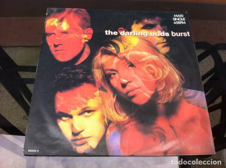 Discos de vinilo: MAXI SINGLE. THE DARLING BURST.  1988, ESPA&Ntilde;A. - Foto 1