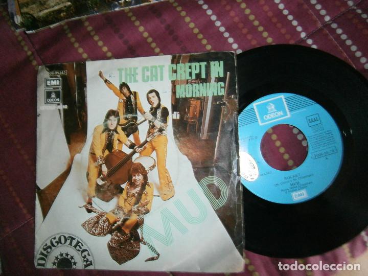 Vinyl records: THE CAT CREPT IN MORNING ..MUD