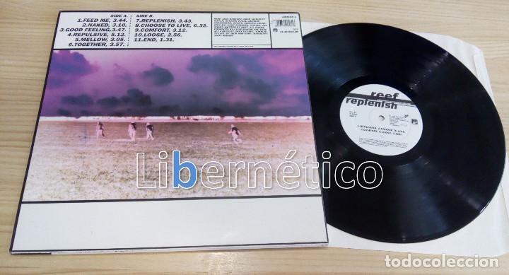 Discos de vinilo: Reef &lrm;&ndash; Replenish - Foto 3