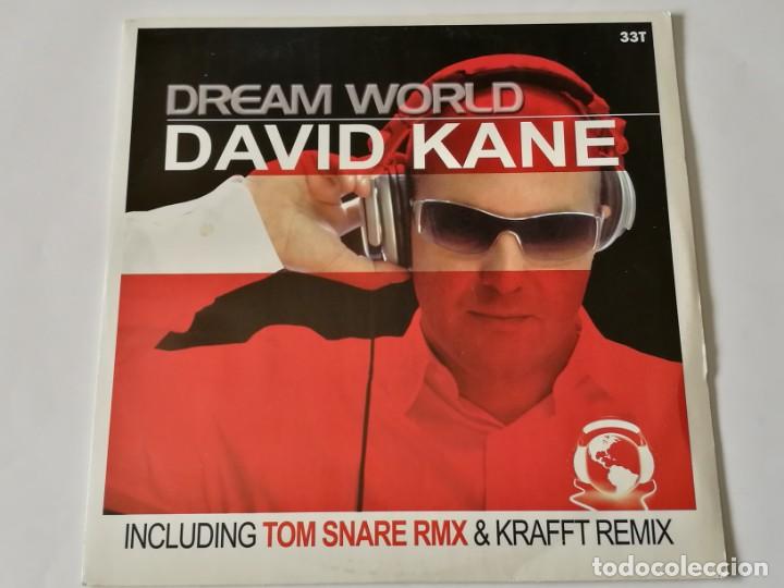 Discos de vinilo: David Kane - Dream World - 2006 - Foto 1