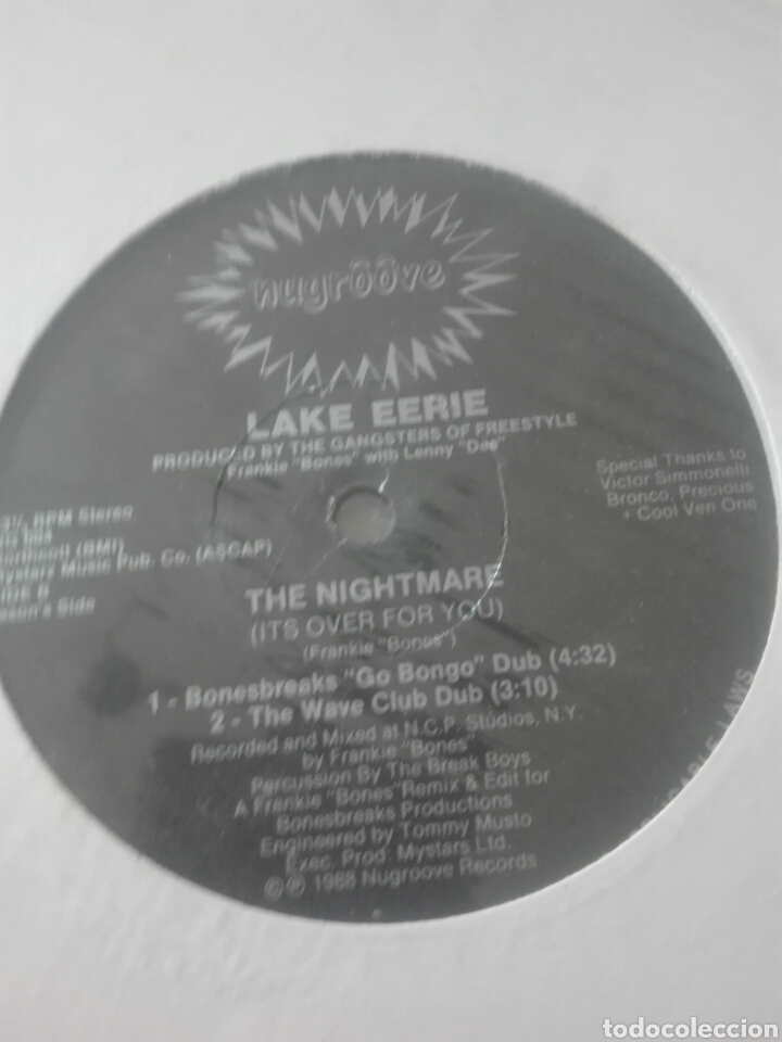 Discos de vinilo: Disco vinilo MAXI LAKE EERIE - Foto 1