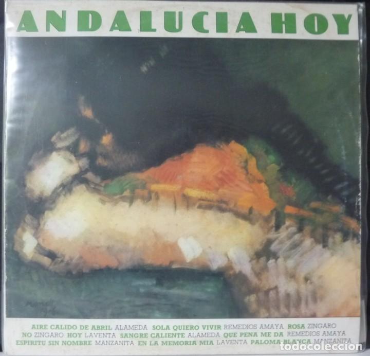 Discos de vinilo: ANDALUCIA HOY // 1981 - Foto 1