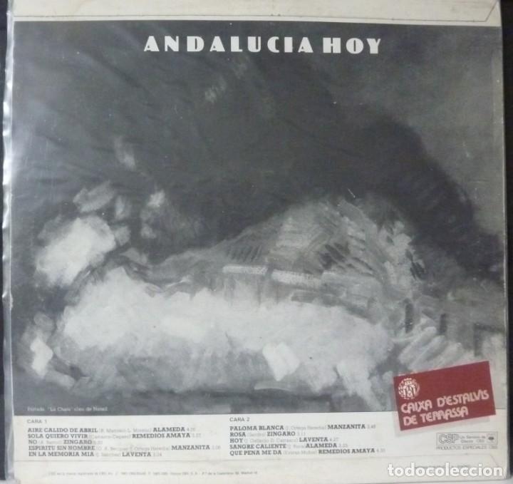 Discos de vinilo: ANDALUCIA HOY // 1981 - Foto 2