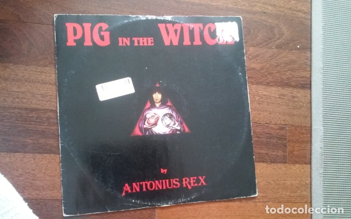Discos de vinilo: Antonius rex-pig in the witch.maxi - Foto 1
