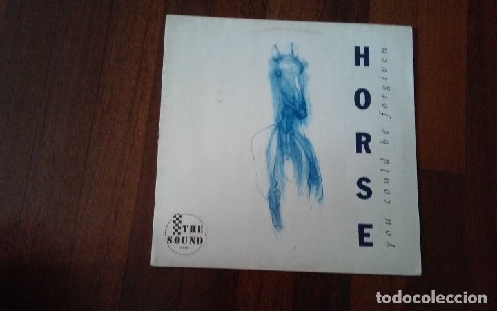 Discos de vinilo: Horse-you could be forgiven.maxi - Foto 1