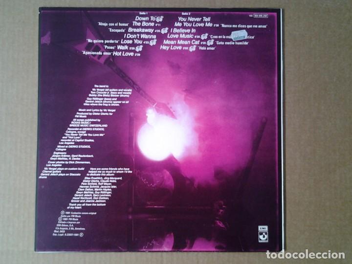 Discos de vinilo: VIC VERGAT -DOWN TO THE BONE- LP HARVEST 1981 ED. ESPAÑOLA 10C 064-046.350 MUY BUENAS CONDICIONES. - Foto 5 - 170436428