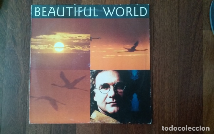 Discos de vinilo: Beautiful world-in existence.maxi - Foto 1