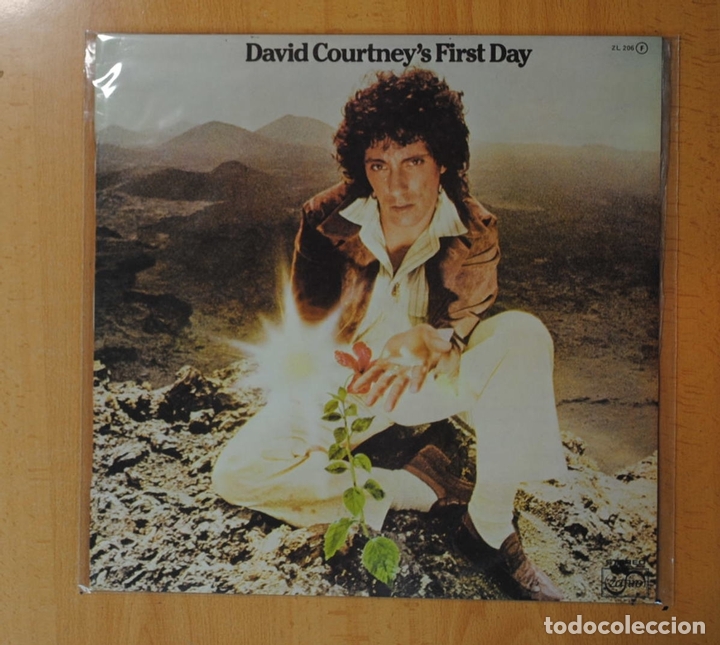 Discos de vinilo: DAVID COURTNEY - FIRST DAY - LP - Foto 1