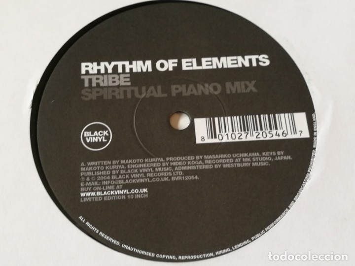 Discos de vinilo: Rhythm Of Elements - Tribe - 2004 - Foto 1