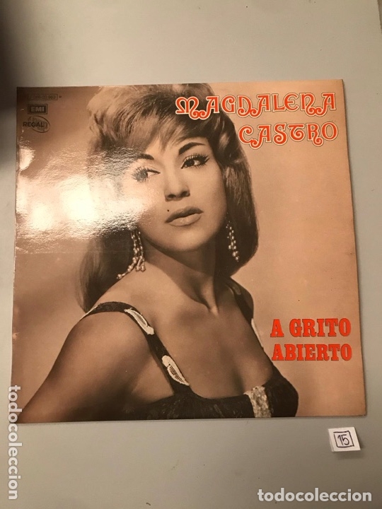 Discos de vinilo: Magdalena Castro - Foto 1