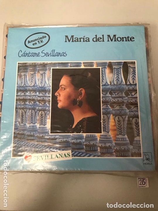 Discos de vinilo: Mar&iacute;a del monte - Foto 1
