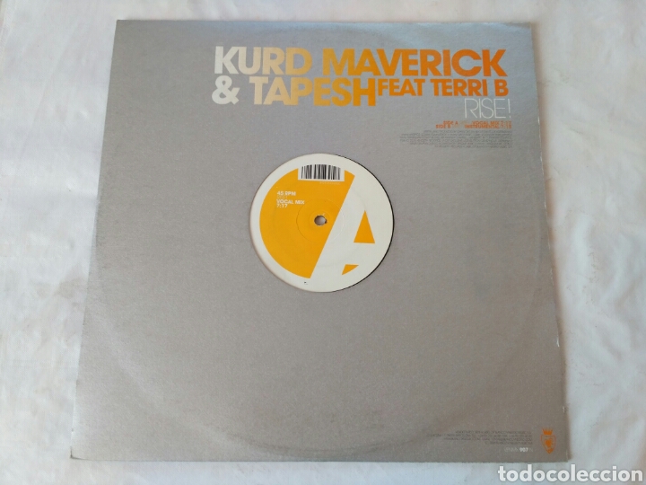 Discos de vinilo: Kurd Maverick & Tapesh Feat Terri B - Rise! - Foto 1