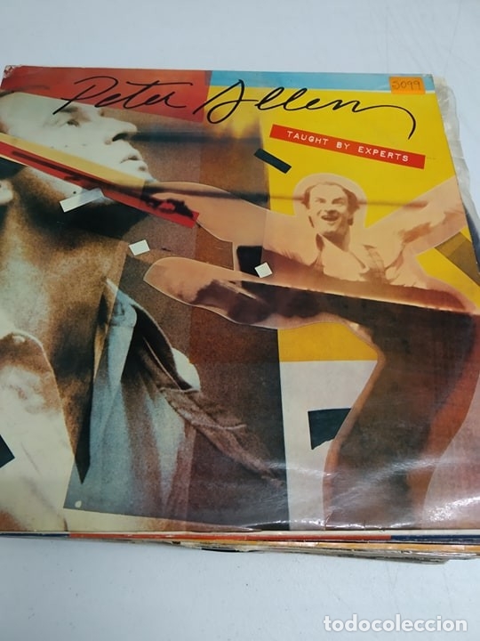 Discos de vinilo: Peter Allen &lrm;&ndash; Taught By Experts - Foto 1