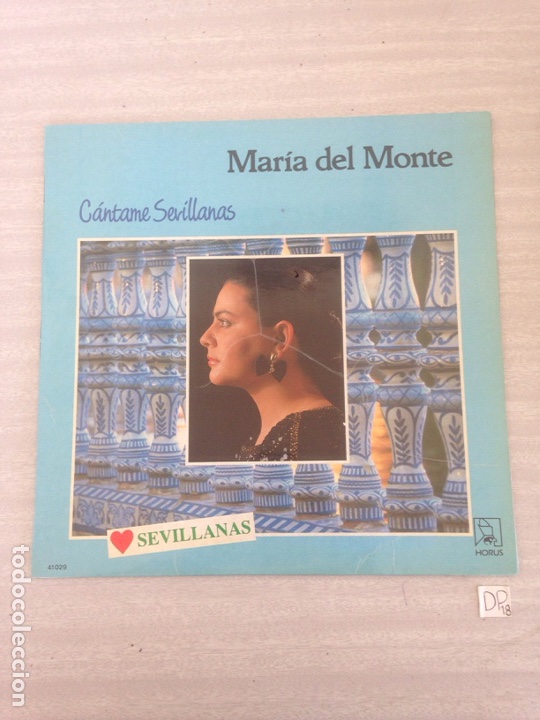 Discos de vinilo: Mar&iacute;a del monte - Foto 1