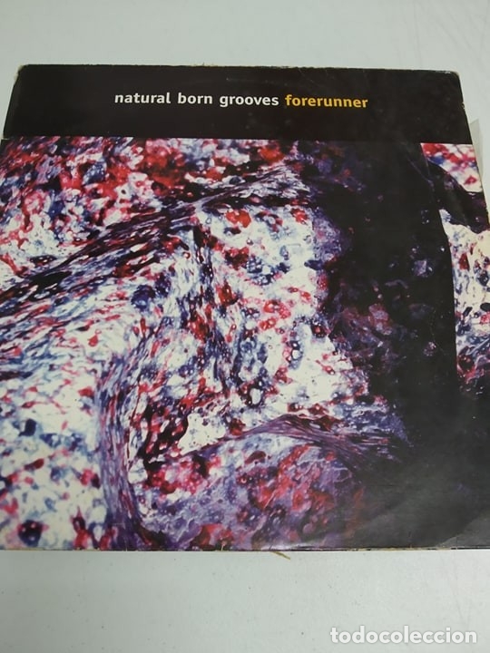 Discos de vinilo: Natural Born Grooves &lrm;&ndash; Forerunner - Foto 1