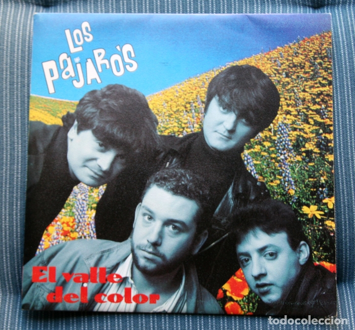 Discos de vinilo: LOS P&Aacute;JAROS - EL VALLE DEL COLOR - 1991 - Foto 1