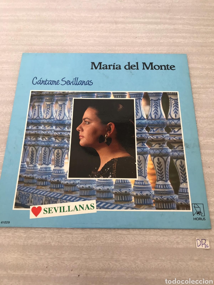 Discos de vinilo: Mar&iacute;a del monte - Foto 1