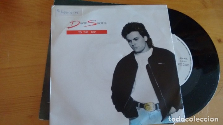 Discos de vinilo: SINGLE (VINILO)-PROMOCION- DE  DAVID SAYLOR A&Ntilde;OS 90 - Foto 1