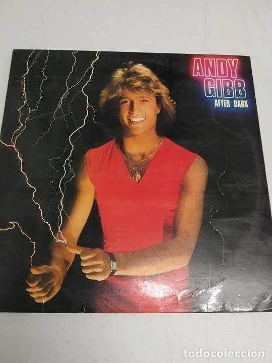 Discos de vinilo: Andy Gibb &lrm;&ndash; After Dark - Foto 1