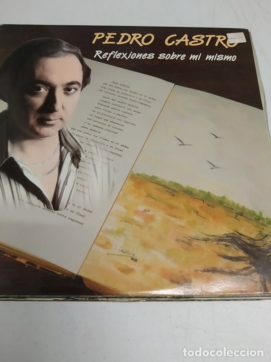 Discos de vinilo: Pedro Castro -- Reflexiones Sobre Mi Mismo - Foto 1