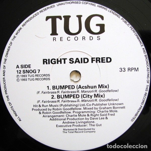 Discos de vinilo: Right Said Fred &lrm;&ndash; Bumped - Foto 1