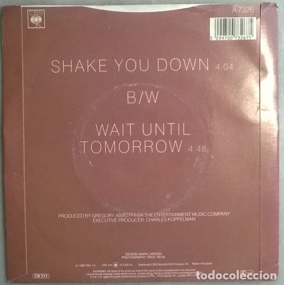 Discos de vinilo: Gregory Abbott. Shake you down/ Wait until tomorrow. CBS, UK 1986 single - Foto 2
