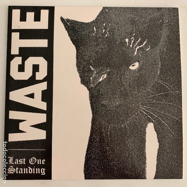 Discos de vinilo: single ep vinilo waste last one standing - hardcore straight edge - Foto 1