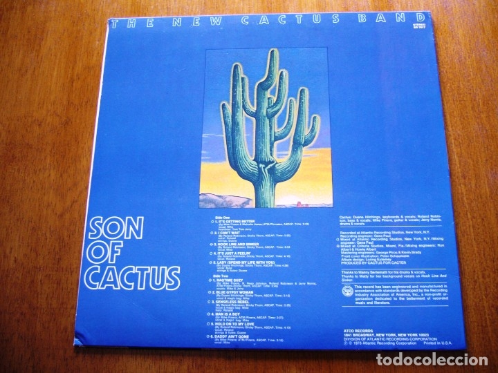 inner sleeve of cactus album