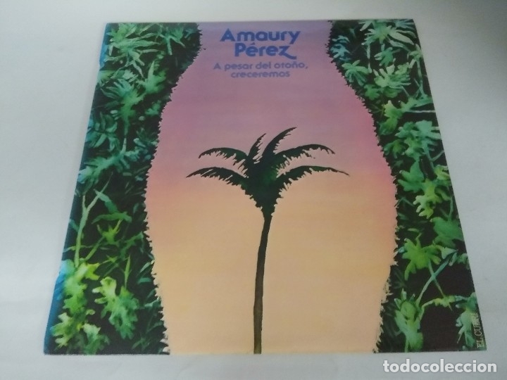 Discos de vinilo: VINILO/AMARAURY PEREZ/A PESAR DEL OTO&Ntilde;O CRECEREMOS. - Foto 1
