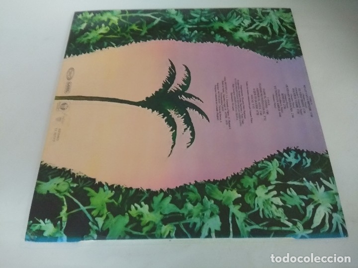 Discos de vinilo: VINILO/AMARAURY PEREZ/A PESAR DEL OTO&Ntilde;O CRECEREMOS. - Foto 2