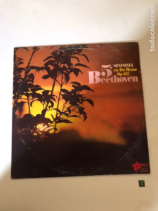 Discos de vinilo: 5 concom&iacute;a Beethoven