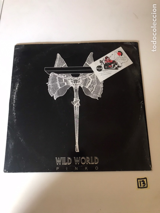 Discos de vinilo: WILD WORLD - Foto 1