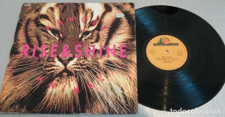 RISE & SHINE / HUNGRY ANIMAL / MAXI-SINGLE 12 INCH (Música - Discos de Vinilo - Maxi Singles - Techno, Trance y House)