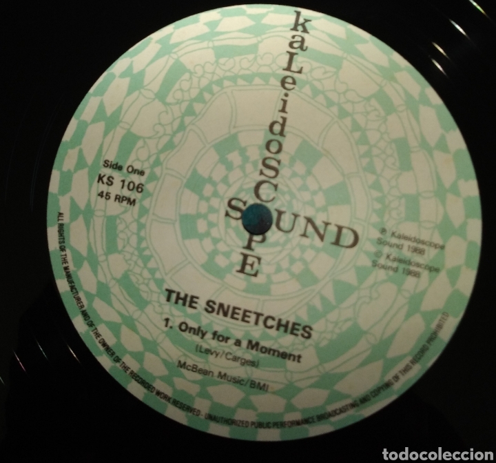 Discos de vinilo: The sneetches - Only for a moment - Foto 2