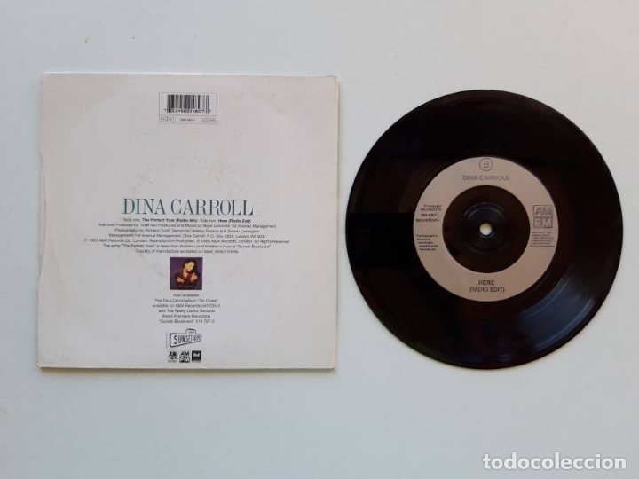 Discos de vinilo: Dina Carroll, The perfect year - Foto 2