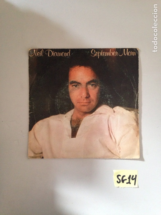 Discos de vinilo: Neil Diamond - Foto 1