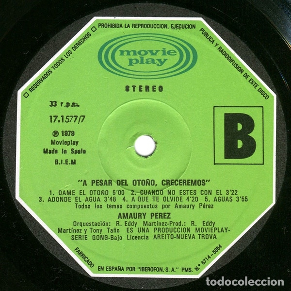 Discos de vinilo: A Pesar Del Oto&ntilde;o, Creceremos - Amaury P&eacute;rez - Foto 6