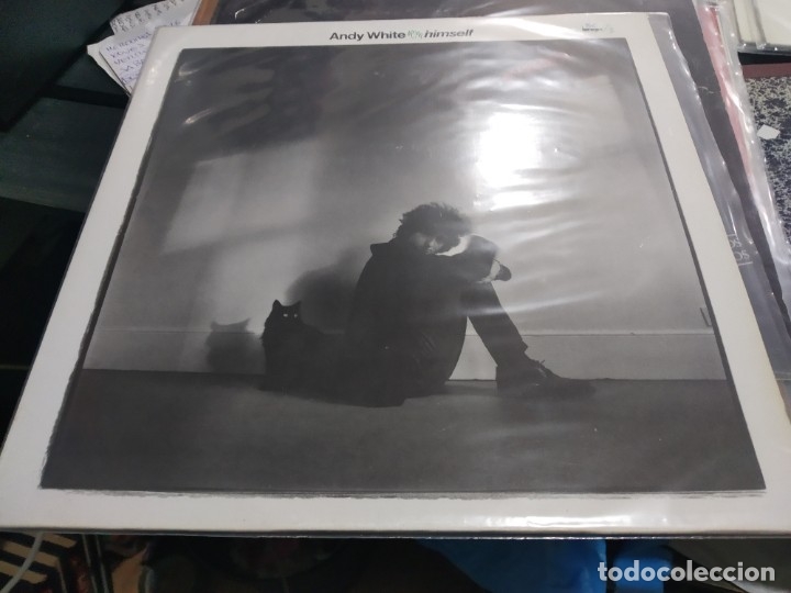 Discos de vinilo: Lp andy white himself - Foto 1