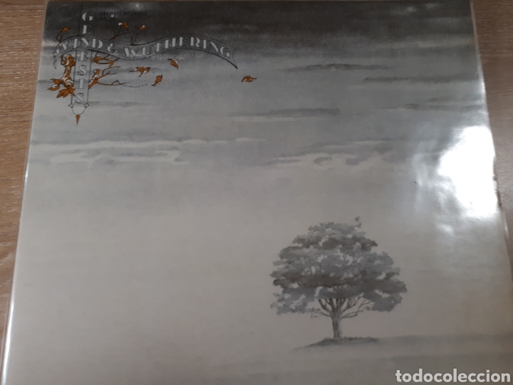 Discos de vinilo: GENESIS WIND WUTHERING - Foto 1
