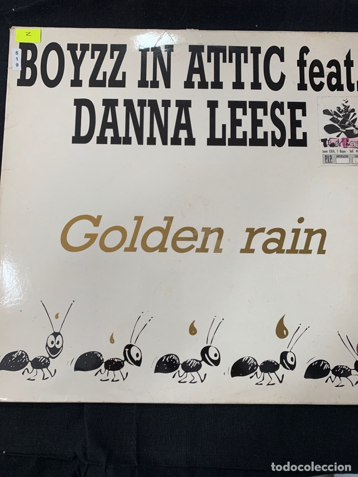 Vinyl-Schallplatten: (VIN519) GOLDEN RAIN ( vinilo Segunda mano )