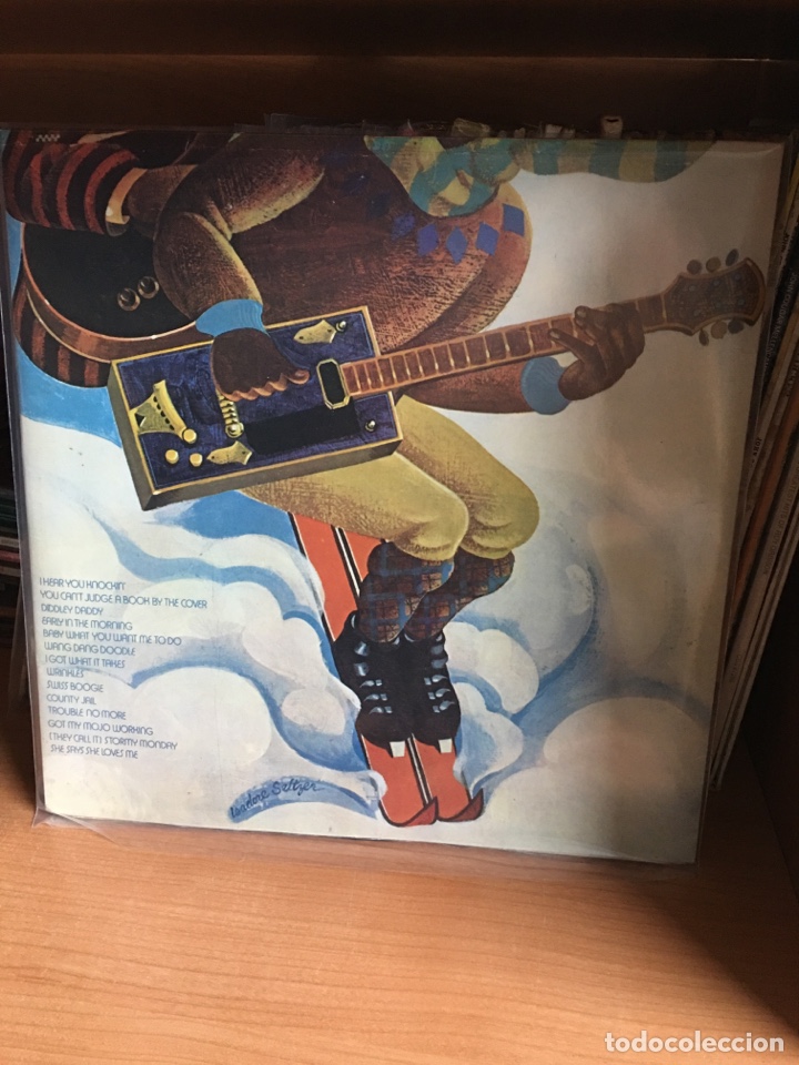 Discos de vinilo: Varios - Avalancha Blues y Rock (2xLP) - Foto 2