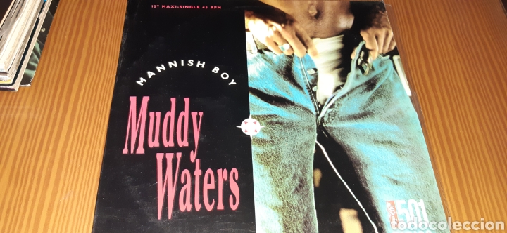 Discos de vinilo: Disco vinilo maxi MUDDY WATERS - Foto 1