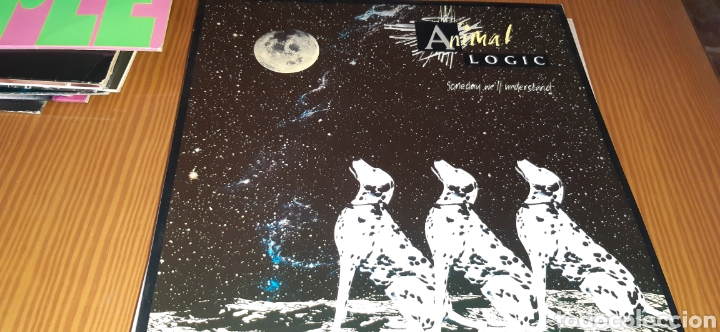 Discos de vinilo: Disco vinilo maxi ANIMAL LOGIC - Foto 1