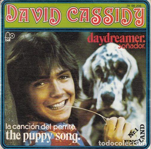Discos de vinilo: DAVID CASSIDY - DAYDREAMER - SINGLE ESPA&Ntilde;OL DE VINILO - Foto 1