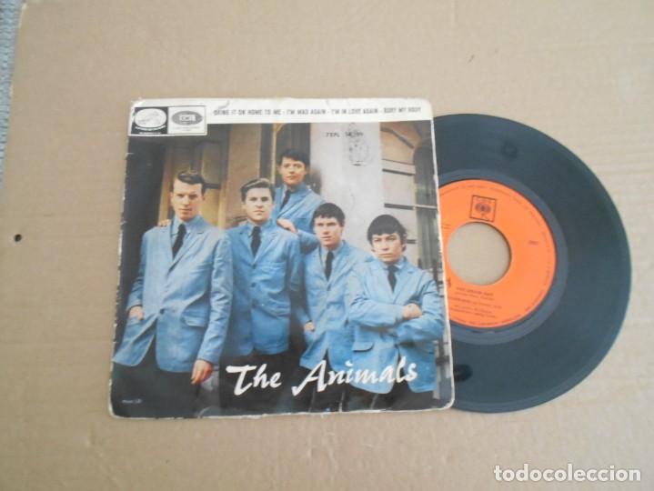 Discos de vinilo: vinilo  de animals a&ntilde;o 1968 - Foto 1