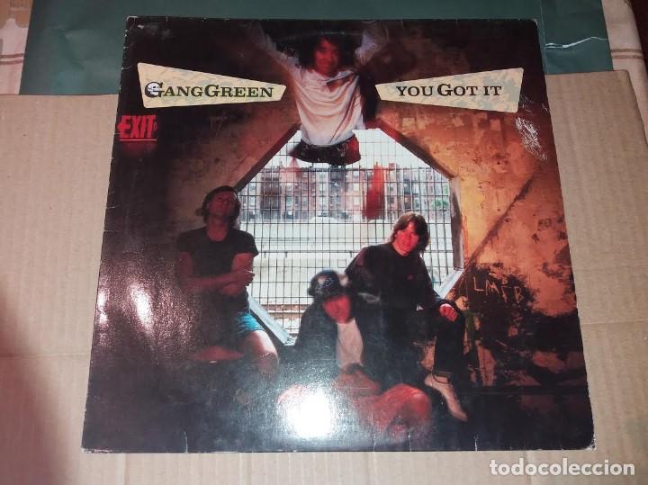 Discos de vinilo: GANG GREEN - YOU GOT IT - LP - Foto 1