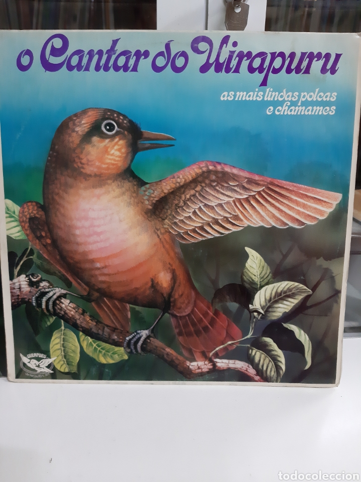 Discos de vinilo: O cantar do wirapuru Polcas e chamanes - Foto 1