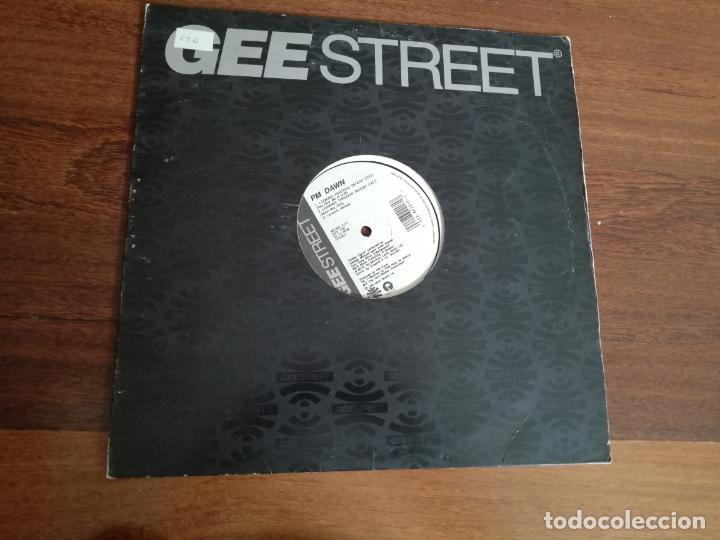 Discos de vinilo: Pm dawn-pl&aacute;stic. maxi - Foto 1